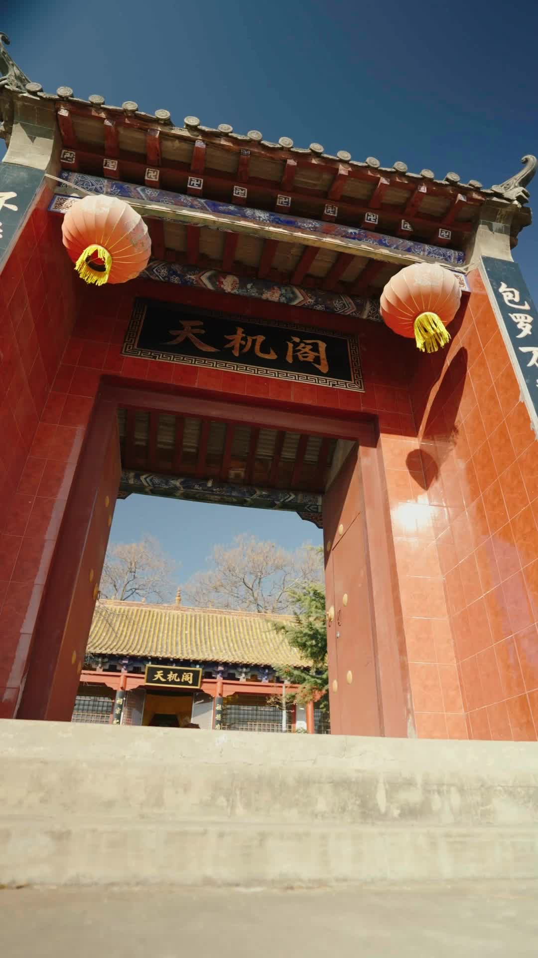 Episode 7 - I Raised a God Dog